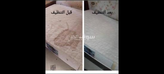 شركة تنظيف شقق منازل نظافة خزانات عزل خزانات رش مبيدات حشرات - 3