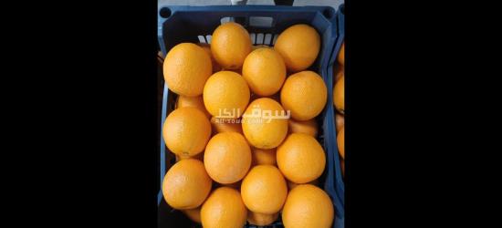 برتقال صيفى