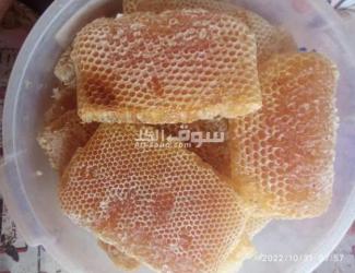 عسل سدر ممتاز على الشرط - 7