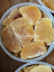 عسل سدر ممتاز على الشرط - 15