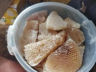 عسل سدر ممتاز على الشرط - 16