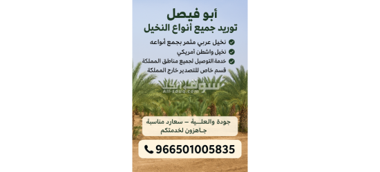 فسايل نخيل مجدول مثمره